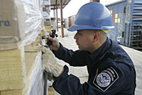 CBP Agriculture Specialist inspecting wood packing material for exotic pests.